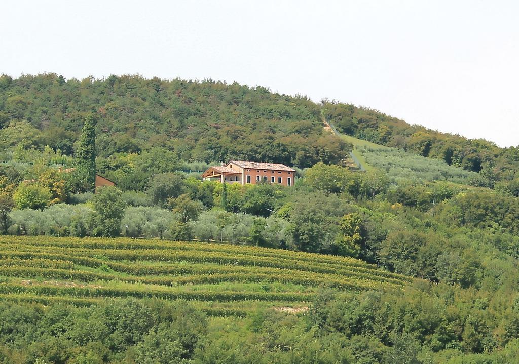 Ca' Dei Coci B&B San Martino Buon Albergo Exterior foto